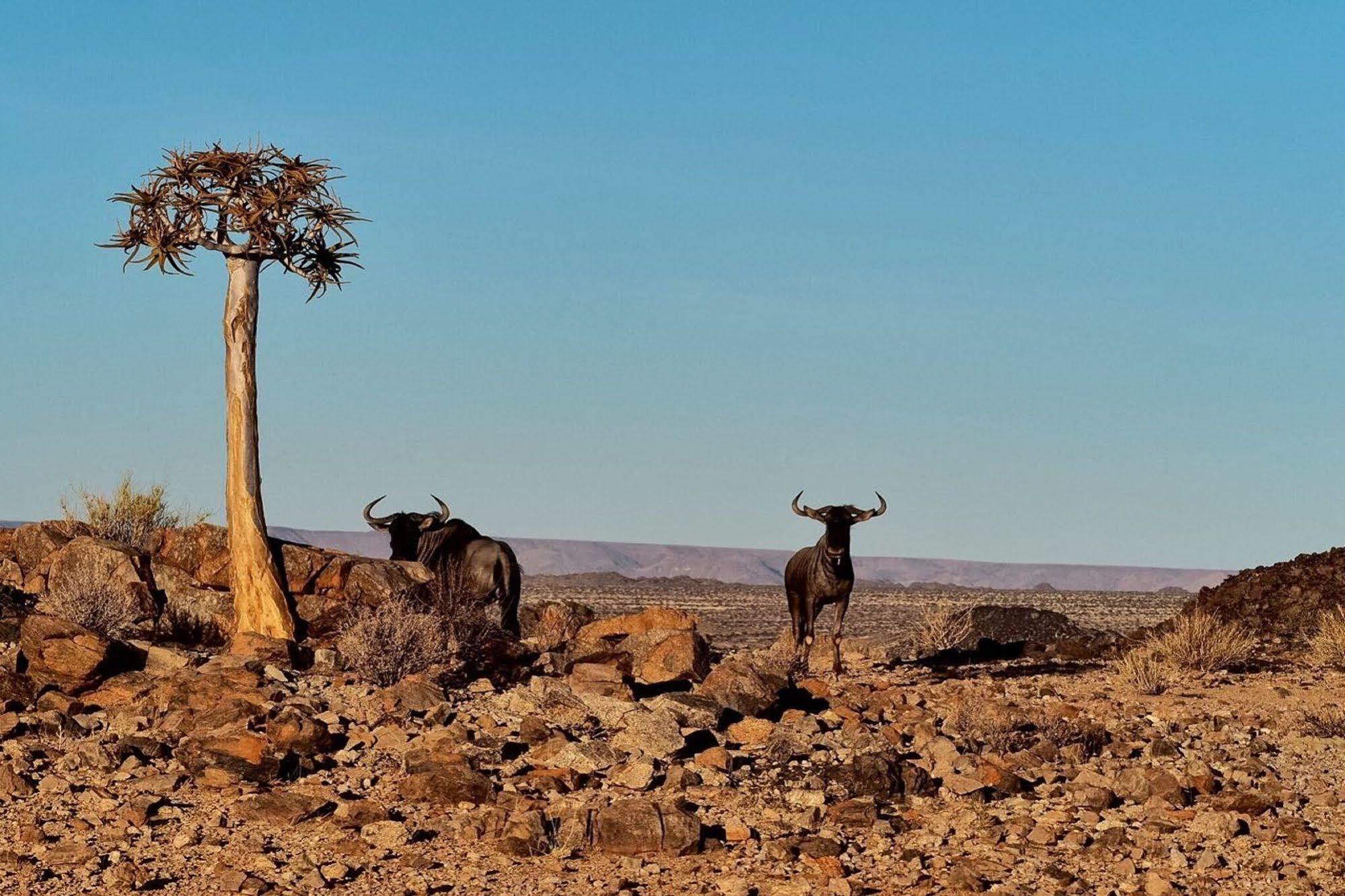 Tutwa Desert Lodge Augrabies Esterno foto